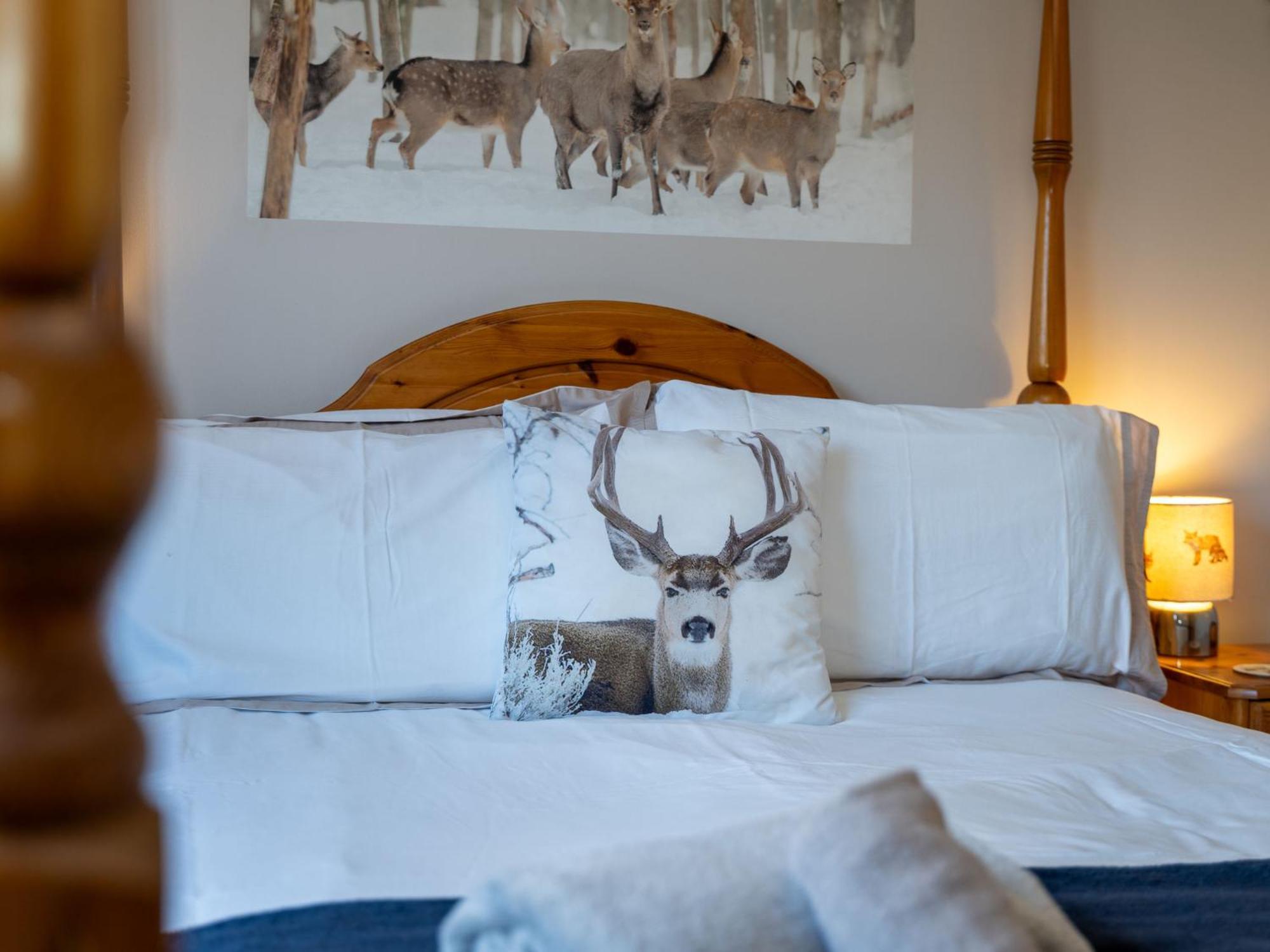 Holiday Home Braeriach By Interhome Aviemore Ngoại thất bức ảnh